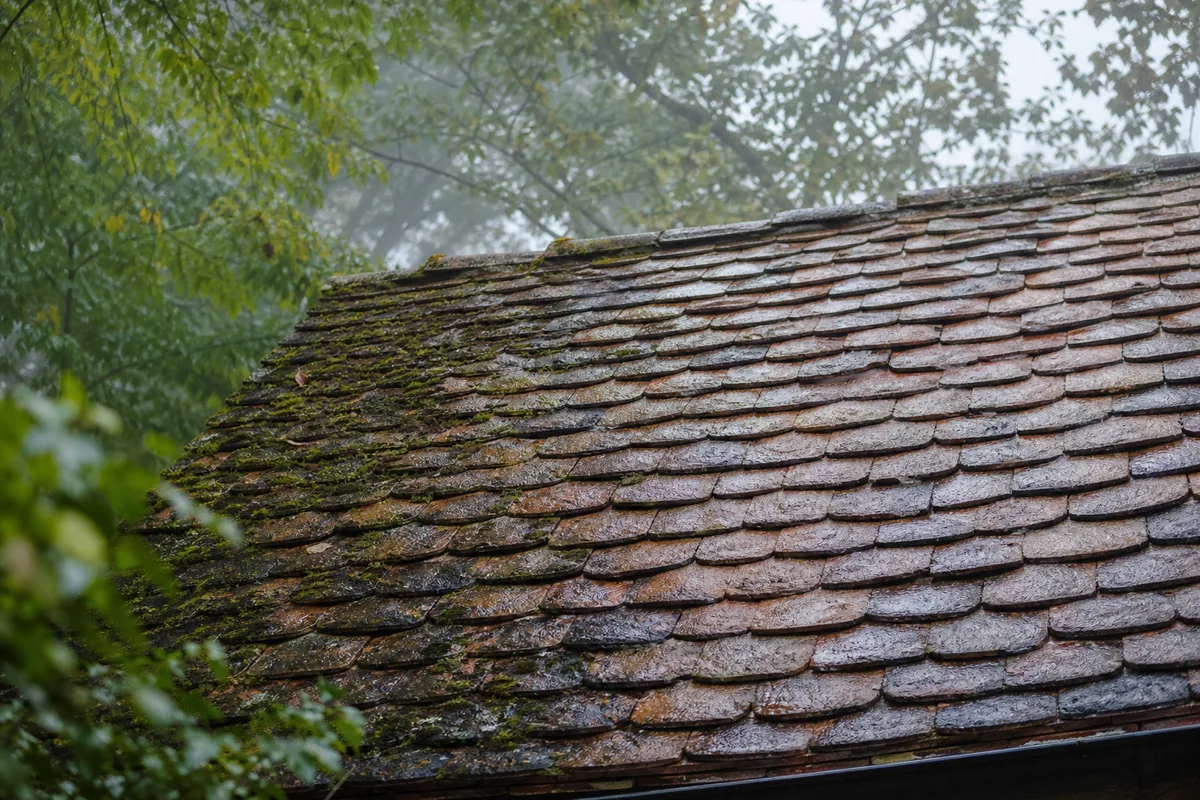 Toiture en tuile plate patinée d’une maison basse de Barbizon en lisière de forêt